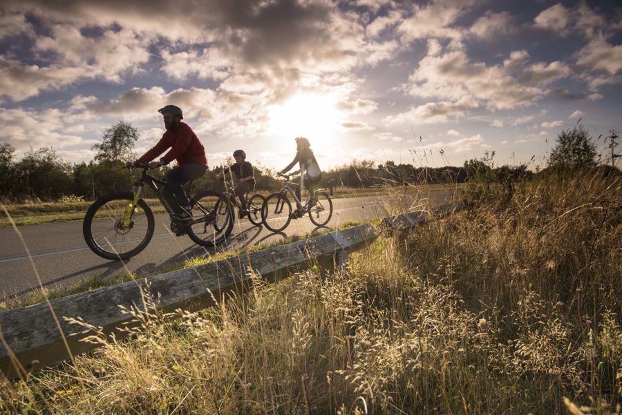 An adult and two children cycling along a road backlit by the sun