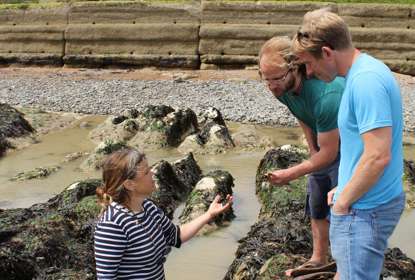 Lucia Stuart foraging for edible seaweed at coastal location 