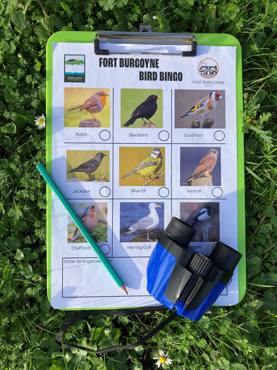 Photo of a clipboard showing pictures of varying birds with a pencil and binoculars