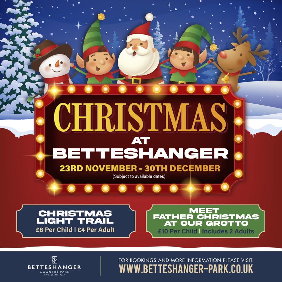 Christmas at Betteshanger poster with colourful characters and snow scene