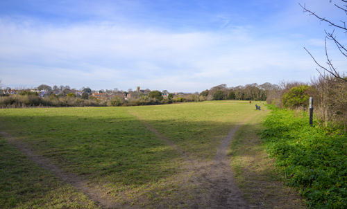  Open grassed area surrounded by trees and a blue sky,