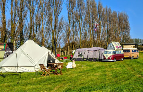 Tents and campervans on green grass with a row of polar trees and blue sky behind. 