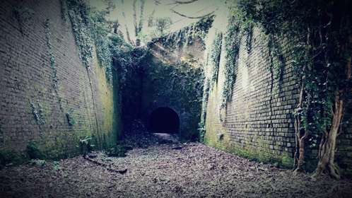 Deep brick ditch with ivy growing on walls